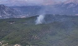 Antalya'da 3 ayrı orman yangını çıkarmış! O çoban suçunu itiraf etti