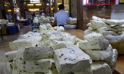 Antalya, Van otlu peynirini çok sevdi!