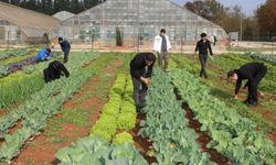 Geleceğin ziraat mühendisleri Akdeniz'i seçti! Türkiye'nin ilk sırasında yer aldılar