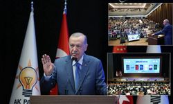 Erdoğan'dan Instagram eleştirilerine 'ev zencisi' benzetmesi! Peki ‘ev zencisi’ kime denir, ne anlama gelir? İşte cevabı