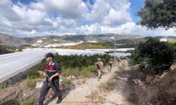 Alanya’da komando araziye indi! Bahçelerde hırsız avı başladı