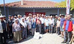 Muğla'da zeytin üreticisine ücretsiz kil desteği