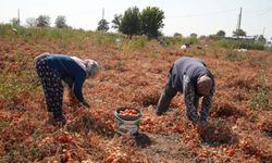 Balıkesir’de çiftçi ve belediyeden örnek dayanışma