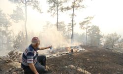 Muğla Büyükşehir bal üreticisinin kararan umutlarını yeşertiyor