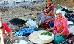 Muğla'da kültürel lezzetler buluştu! Göktepe Festivali'ne büyük ilgi