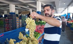 Antalya’nın en ucuz meyve ve sebze pazarı! Aradığınız tüm tarla ürünleri bu pazarda!