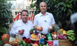 Foodfest Antalya Gastronomi Festivali avokado ve mango hasadı ile başladı