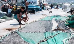 Av yasağı son bulunca Foça'da deniz canlandı! Çeşit bol, fiyatlar uygun