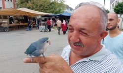 Samsun'da Maviş ile çarşı pazar keyfi! İşte sıra dışı dostluk