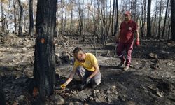 Muğla’da yangının yaraları sarılıyor