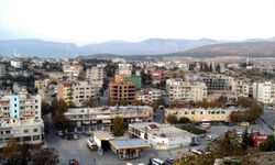 Mersin'de bu ilçede Akdeniz sineği hastalığı asla görülmüyor!