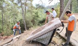 Marmaris'te ormandan çıkanlar şaşırttı