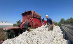 Antalya Ovası'nın 'beyaz altını' pamukta hasat başladı! Çiftçi fiyatların açıklanmamasına tepkili