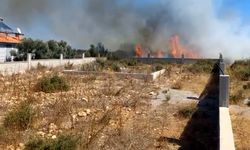 Antalya’da Kepez’de çıkan yangında kümes hayvanlarını kurtarmak için zamanla yarıştılar