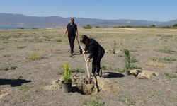 Burdur Gölü için yeşil umut! Gazeteciler fidan dikti