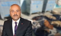 Gebze'deki hayvan katliamı: AKP'li belediye başkanı hakkında suç duyurusu