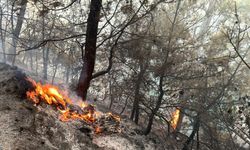 Muğla ormanları yanıyor! 3 ayrı bölgede yangın çıktı