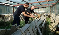 Burdur'un ne kadar salyangoz ürettiğine inanamayacaksınız