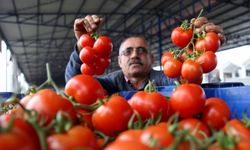 Antalya’da çiftçiyi üzen tüketiciyi sevindiren gelişme!