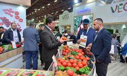 Tarım sektörü Antalya'da buluşacak! Growtech başlıyor