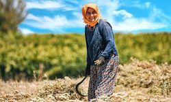 Antalya İl Tarım ve Orman Müdürlüğü’nün ‘kadın’ projesine AB'den hibe