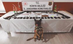 Konya’da yasaklı maddelere jandarmadan operasyon!