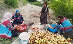 Gazipaşa'da Vefa Sosyal Destek Grubu gönüllere girdi