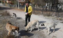 Antalya'da komşunun köpeğini vurdu, “Pişmanım" dedi