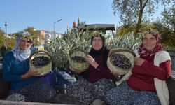 Manavgat Zeytin ve Zeytinyağı Festivali başladı