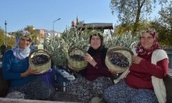 Başkan Niyazi Kara'dan çağrı: "Üreticimizi destekleyin"