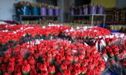 Antalya’da kırmızı karanfil karaborsa! Canlı 100, yapay 1200 TL oldu!