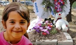 Diyarbakır’da 8 yaşındaki Narin’in ölümüne ilişkin davada 15 kişi hakim karşısında