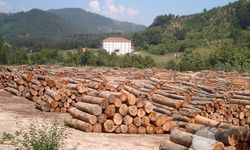 ORMAN EMVALİ İSTİFLEME İŞİ