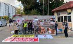 Antalya’da kadınlar sokak hayvanları eyleminde gözyaşlarına hakim olamadı