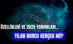 Yılan Burcu Gerçek Mi? Özellikleri Nelerdir? 2025 Yorumları!