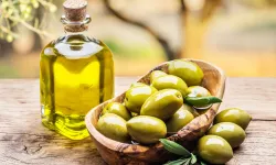 Antalya'da zeytinyağı rotası geliyor: Tarım ve turizm buluşuyor