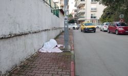 Antalya’da yürek donduran fotoğraf: Kıvrıldığı kaldırımda öylece sabahladı