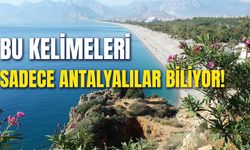 Bu Kelimeleri Sadece Antalyalılar Biliyor! Barıdık, Daraba, Dengilmek…