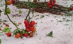 Antalya felaketi yaşadı: Ceviz büyüklüğünde dolu yağışı Demre’de zarara neden oldu