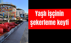 Yaşlı işçinin şekerleme keyfi