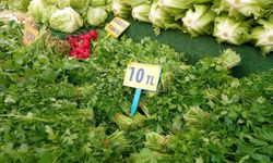 Cumartesi pazarında yeşilliğe büyük ilgi: Antalya’da güncel meyve sebze fiyatları