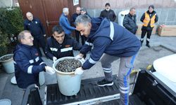 Antalya Otogarı'nda açık saçık midyelere el konuldu