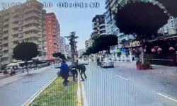 Alanya'da korkunç olay! İki otobüs şoförü b*çaklandı