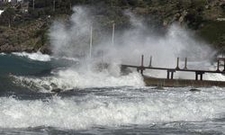 Bodrum dikkat! Feribot seferleri iptal edildi