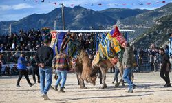 Antalya’da deve güreşleri başlıyor