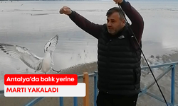 Antalya’da balık yerine martı yakaladı