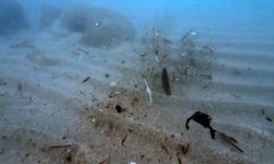 Antalya sahillerindeki mikroplastik kirliliği TBMM gündeminde!