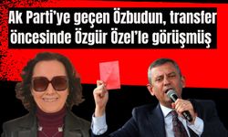 Ak Parti’ye geçen Özbudun, transfer öncesinde Özgür Özel’le görüşmüş