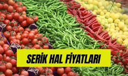 Serik Hal Fiyatları Güncel Liste! 2025 Şubat Ayında Sebze ve Meyveler Ne Kadar?