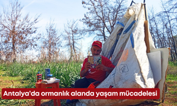 Antalya’da ormanlık alanda yaşam mücadelesi veriyor